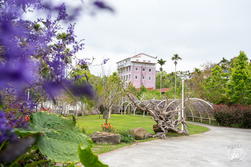瑞里紫藤花季 | 阿里山紫藤花季不能錯過瑞里！超多花點讓你一路拍不完～ | 捲毛阿偉