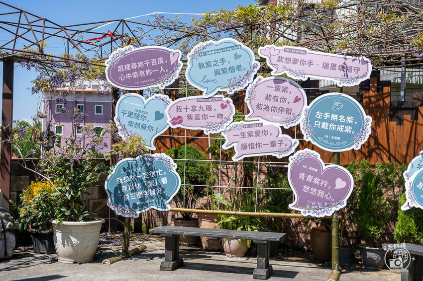 瑞里紫藤花季 | 阿里山紫藤花季不能錯過瑞里！超多花點讓你一路拍不完～ | 捲毛阿偉