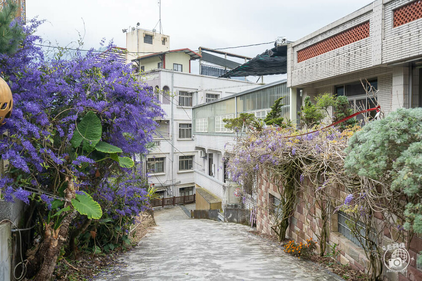 瑞里紫藤花季 | 阿里山紫藤花季不能錯過瑞里！超多花點讓你一路拍不完～ | 捲毛阿偉