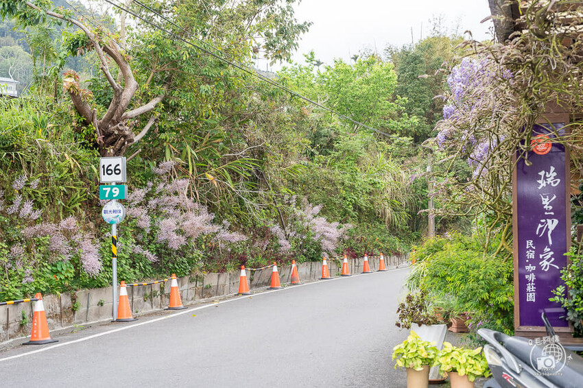 瑞里紫藤花季 | 阿里山紫藤花季不能錯過瑞里！超多花點讓你一路拍不完～ | 捲毛阿偉