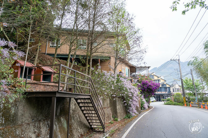 瑞里紫藤花季 | 阿里山紫藤花季不能錯過瑞里！超多花點讓你一路拍不完～ | 捲毛阿偉