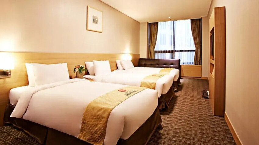 中央明洞空中公園酒店｜近乙支路入口站-8