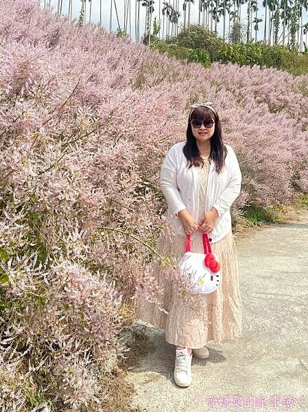 南投中寮．瑰蜜甜心玫瑰園 (麝香木 / 黃花風鈴木 / 九重