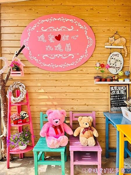 南投中寮．瑰蜜甜心玫瑰園 (麝香木 / 黃花風鈴木 / 九重