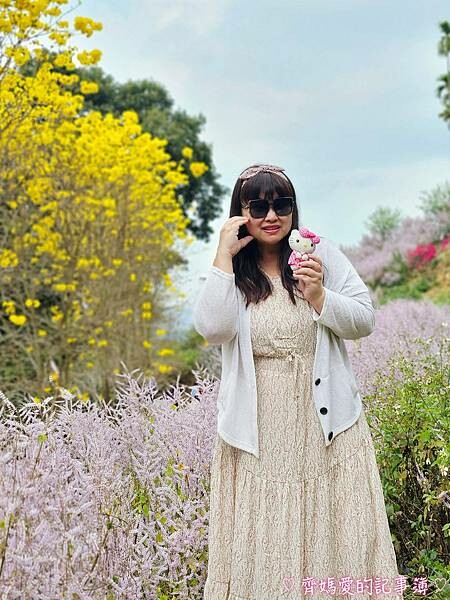 南投中寮．瑰蜜甜心玫瑰園 (麝香木 / 黃花風鈴木 / 九重