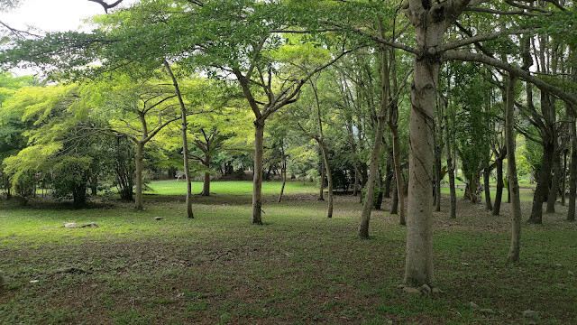鯉魚潭水庫步道