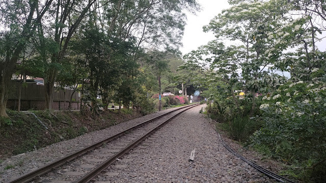 舊鐵道自行車的路線 - 龍騰斷橋