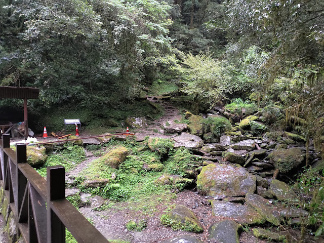 拉拉山國家森林遊樂區 - 步道