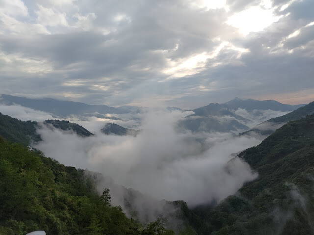 拉拉山國家森林遊樂區 - 雲海