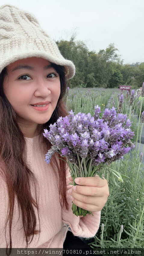 苗栗縣頭屋鄉苗栗/頭屋景點薰衣草導覽【葛瑞絲香草田】3~5月薰衣草花季免費入園 7000坪薰衣草田免費拍!獨創75度C低溫