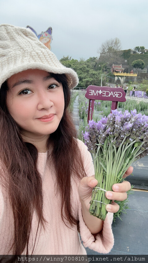 苗栗縣頭屋鄉苗栗/頭屋景點薰衣草導覽【葛瑞絲香草田】3~5月薰衣草花季免費入園 7000坪薰衣草田免費拍!獨創75度C低溫