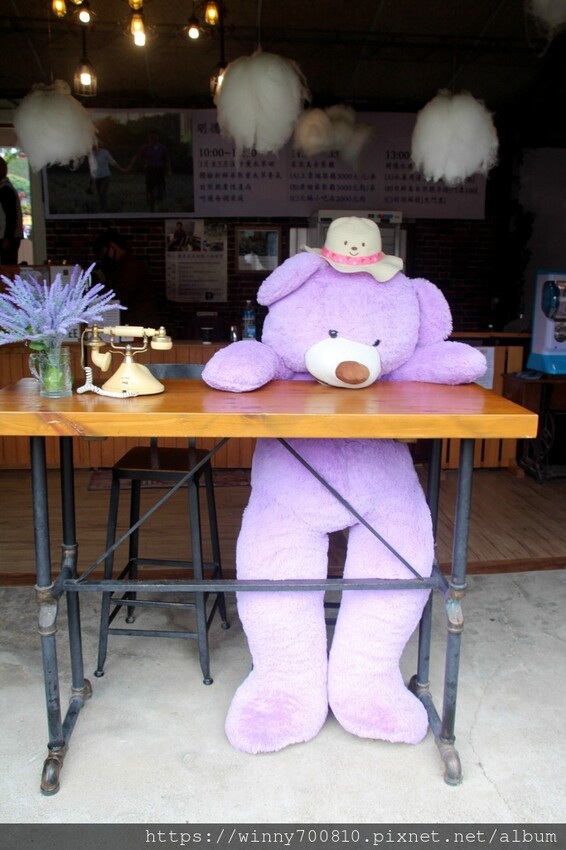 苗栗縣頭屋鄉苗栗/頭屋景點薰衣草導覽【葛瑞絲香草田】3~5月薰衣草花季免費入園 7000坪薰衣草田免費拍!獨創75度C低溫