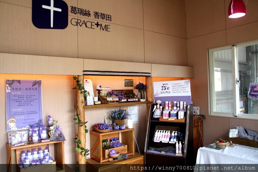 苗栗縣頭屋鄉苗栗/頭屋景點薰衣草導覽【葛瑞絲香草田】3~5月薰衣草花季免費入園 7000坪薰衣草田免費拍!獨創75度C低溫