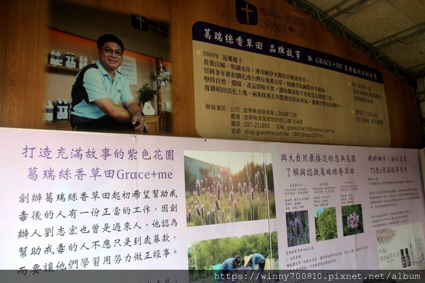 苗栗縣頭屋鄉苗栗/頭屋景點薰衣草導覽【葛瑞絲香草田】3~5月薰衣草花季免費入園 7000坪薰衣草田免費拍!獨創75度C低溫