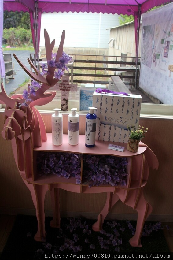 苗栗縣頭屋鄉苗栗/頭屋景點薰衣草導覽【葛瑞絲香草田】3~5月薰衣草花季免費入園 7000坪薰衣草田免費拍!獨創75度C低溫