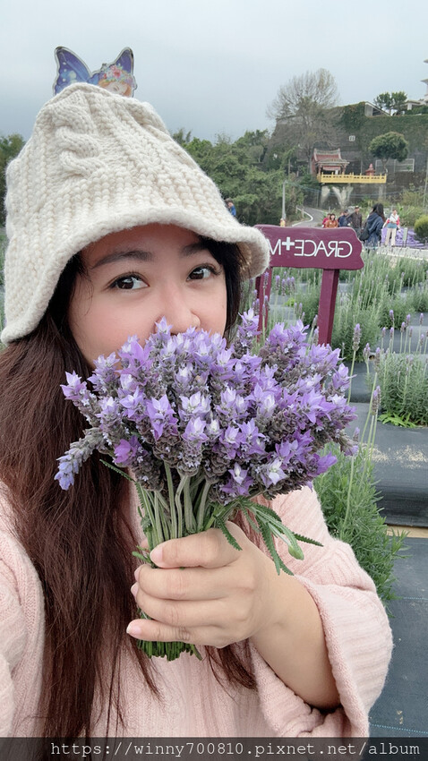 苗栗縣頭屋鄉苗栗/頭屋景點薰衣草導覽【葛瑞絲香草田】3~5月薰衣草花季免費入園 7000坪薰衣草田免費拍!獨創75度C低溫