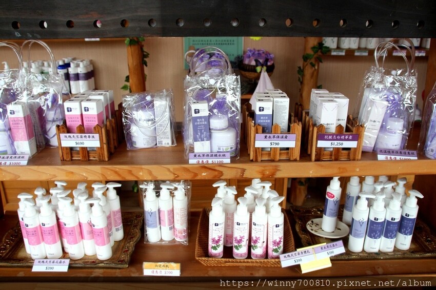 苗栗縣頭屋鄉苗栗/頭屋景點薰衣草導覽【葛瑞絲香草田】3~5月薰衣草花季免費入園 7000坪薰衣草田免費拍!獨創75度C低溫