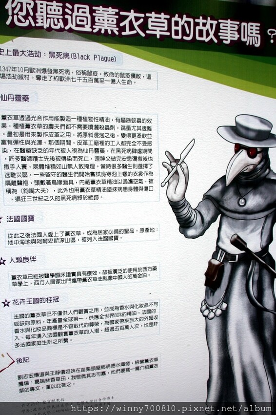 苗栗縣頭屋鄉苗栗/頭屋景點薰衣草導覽【葛瑞絲香草田】3~5月薰衣草花季免費入園 7000坪薰衣草田免費拍!獨創75度C低溫