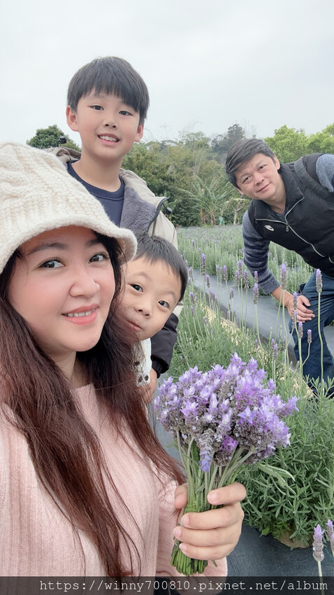 苗栗縣頭屋鄉苗栗/頭屋景點薰衣草導覽【葛瑞絲香草田】3~5月薰衣草花季免費入園 7000坪薰衣草田免費拍!獨創75度C低溫