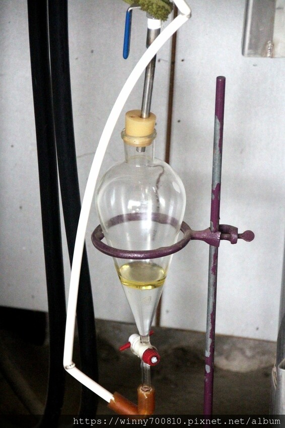 苗栗縣頭屋鄉苗栗/頭屋景點薰衣草導覽【葛瑞絲香草田】3~5月薰衣草花季免費入園 7000坪薰衣草田免費拍!獨創75度C低溫