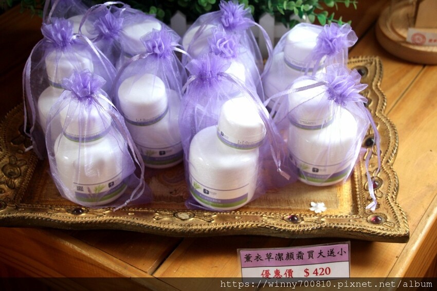 苗栗縣頭屋鄉苗栗/頭屋景點薰衣草導覽【葛瑞絲香草田】3~5月薰衣草花季免費入園 7000坪薰衣草田免費拍!獨創75度C低溫