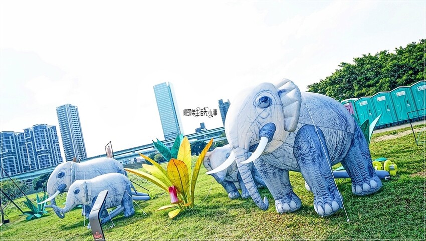 新北市三重區2024新北燈會熱鬧登場!大都會公園打造絢爛點燈,12米青龍驚艷上空,點亮你的夜晚