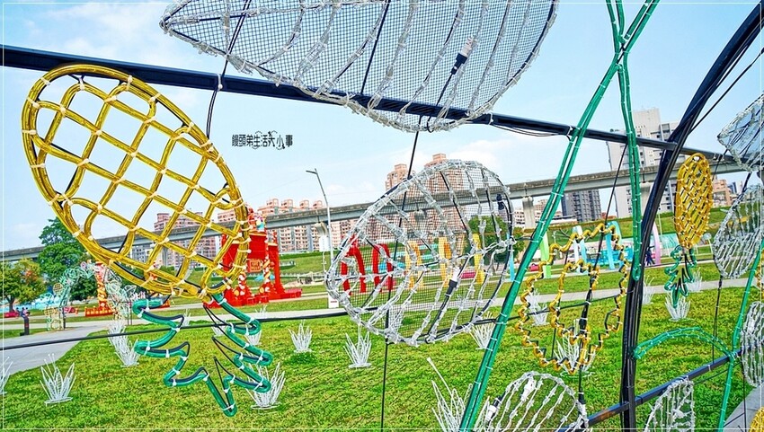 新北市三重區2024新北燈會熱鬧登場!大都會公園打造絢爛點燈,12米青龍驚艷上空,點亮你的夜晚