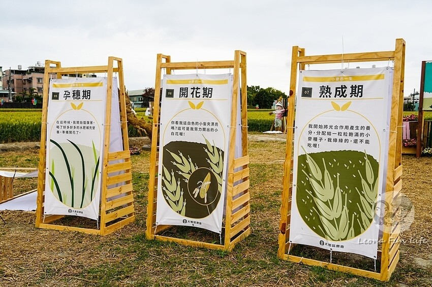 台中市大雅區台中活動|2024大雅小麥文化節龍轉麥田趣開跑-棧板巨龍、麵田稻草人創作展、親子手作、必拍麥田裝置藝|地點