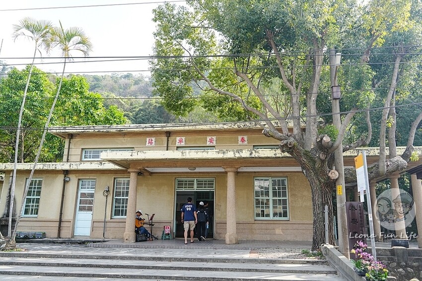 台中市后里區2024 泰安櫻花季|全台最美的派出所櫻花綻放大開中,還有能順道採草莓吃周邊美食!|賞花吃什麼|停車交通資訊|