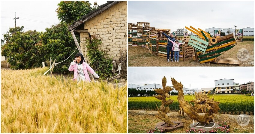 台中市大雅區台中活動|2024大雅小麥文化節龍轉麥田趣開跑-棧板巨龍、麵田稻草人創作展、親子手作、必拍麥田裝置藝|地點