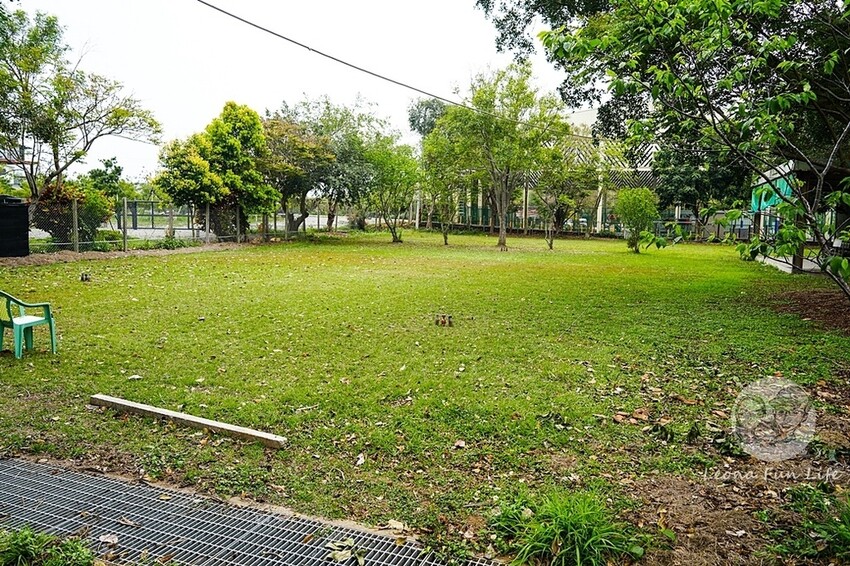 台中市新社區台中新社|山城首座6.3米高櫻花主題溜滑梯開放使用,櫻花特色共融遊戲場,櫻花季賞花最佳去處|新社復盛公園