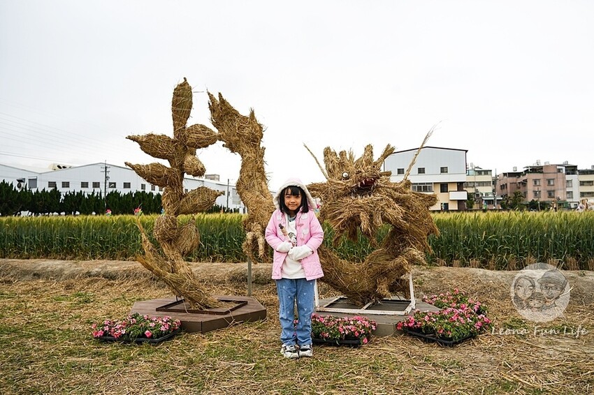 台中市大雅區台中活動|2024大雅小麥文化節龍轉麥田趣開跑-棧板巨龍、麵田稻草人創作展、親子手作、必拍麥田裝置藝|地點
