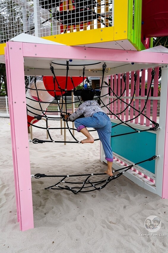 台中市新社區台中新社|山城首座6.3米高櫻花主題溜滑梯開放使用,櫻花特色共融遊戲場,櫻花季賞花最佳去處|新社復盛公園