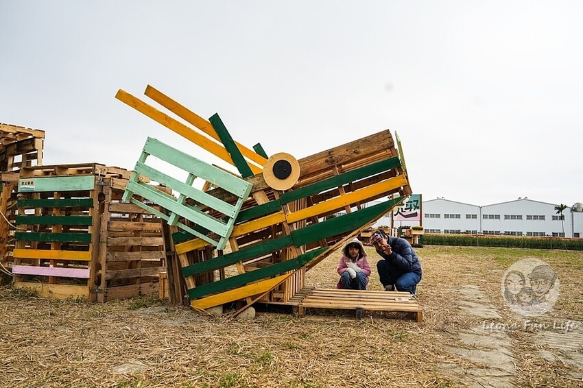 台中市大雅區台中活動|2024大雅小麥文化節龍轉麥田趣開跑-棧板巨龍、麵田稻草人創作展、親子手作、必拍麥田裝置藝|地點