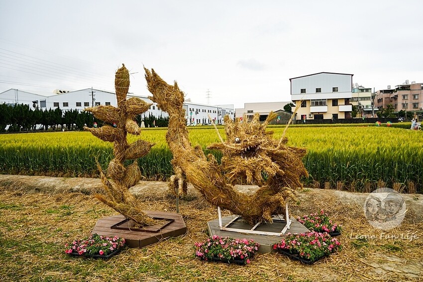 台中市大雅區台中活動|2024大雅小麥文化節龍轉麥田趣開跑-棧板巨龍、麵田稻草人創作展、親子手作、必拍麥田裝置藝|地點