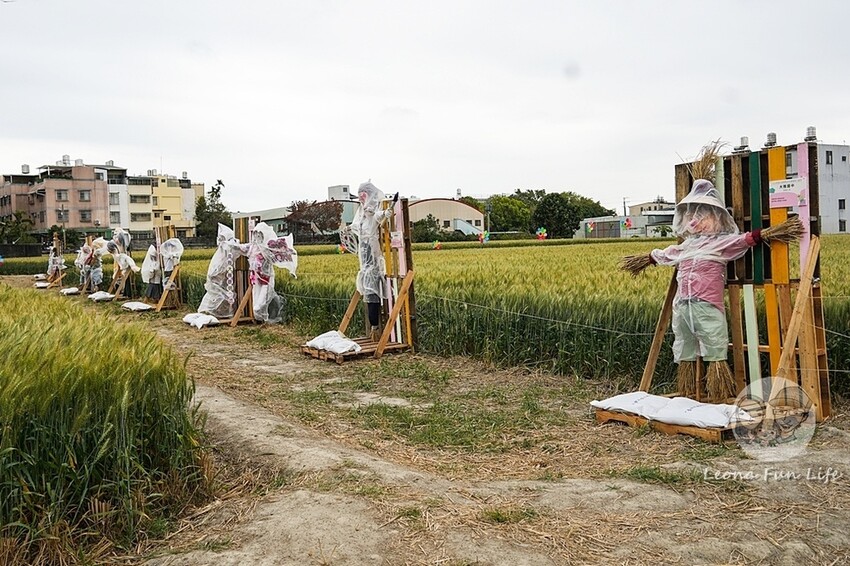 台中市大雅區台中活動|2024大雅小麥文化節龍轉麥田趣開跑-棧板巨龍、麵田稻草人創作展、親子手作、必拍麥田裝置藝|地點