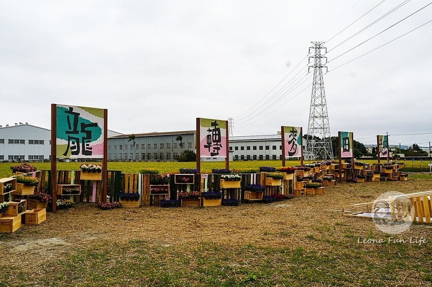 台中市大雅區台中活動|2024大雅小麥文化節龍轉麥田趣開跑-棧板巨龍、麵田稻草人創作展、親子手作、必拍麥田裝置藝|地點