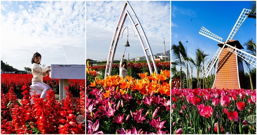 台中市后里區2024 泰安櫻花季|全台最美的派出所櫻花綻放大開中,還有能順道採草莓吃周邊美食!|賞花吃什麼|停車交通資訊|