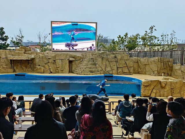桃園市中壢區Xpark水族館 | 桃園親子景點推薦．探索奇幻的海底世界．療癒感十足的視覺體驗