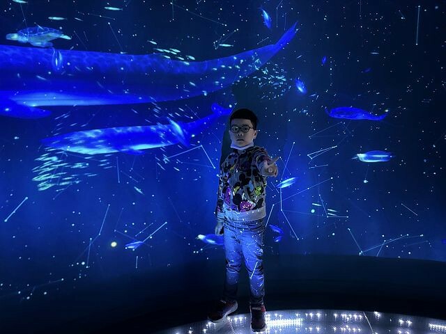 桃園市中壢區Xpark水族館 | 桃園親子景點推薦．探索奇幻的海底世界．療癒感十足的視覺體驗