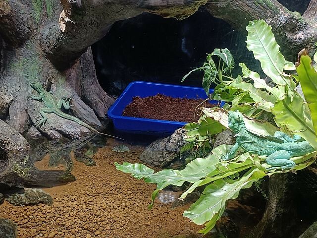 桃園市中壢區Xpark水族館 | 桃園親子景點推薦．探索奇幻的海底世界．療癒感十足的視覺體驗