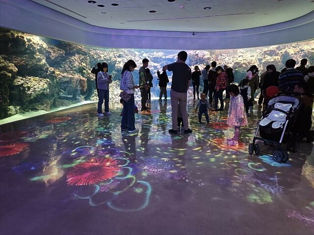 桃園市中壢區Xpark水族館 | 桃園親子景點推薦．探索奇幻的海底世界．療癒感十足的視覺體驗