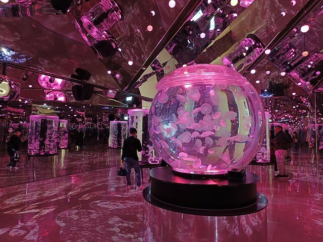 桃園市中壢區Xpark水族館 | 桃園親子景點推薦．探索奇幻的海底世界．療癒感十足的視覺體驗