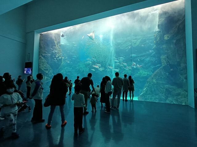 桃園市中壢區Xpark水族館 | 桃園親子景點推薦．探索奇幻的海底世界．療癒感十足的視覺體驗