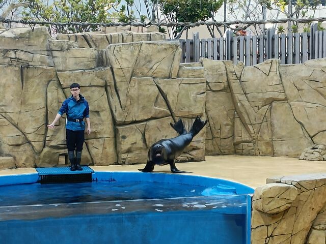 桃園市中壢區Xpark水族館 | 桃園親子景點推薦．探索奇幻的海底世界．療癒感十足的視覺體驗