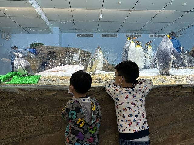 桃園市中壢區Xpark水族館 | 桃園親子景點推薦．探索奇幻的海底世界．療癒感十足的視覺體驗
