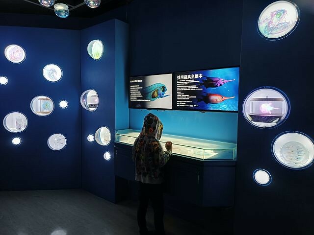 桃園市中壢區Xpark水族館 | 桃園親子景點推薦．探索奇幻的海底世界．療癒感十足的視覺體驗