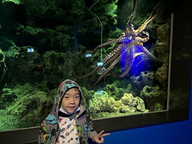 桃園市中壢區Xpark水族館 | 桃園親子景點推薦．探索奇幻的海底世界．療癒感十足的視覺體驗