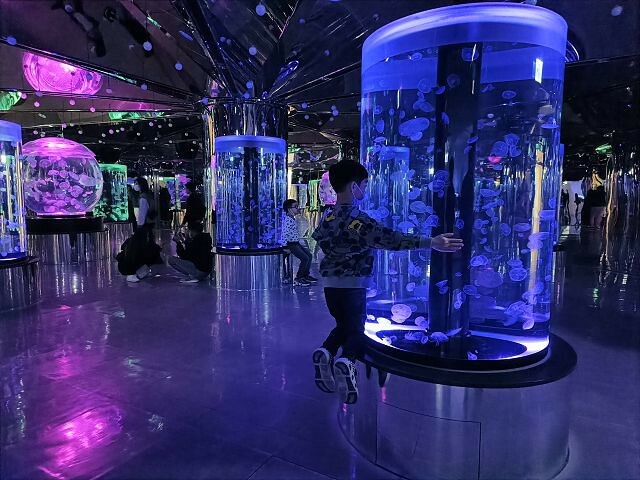 桃園市中壢區Xpark水族館 | 桃園親子景點推薦．探索奇幻的海底世界．療癒感十足的視覺體驗