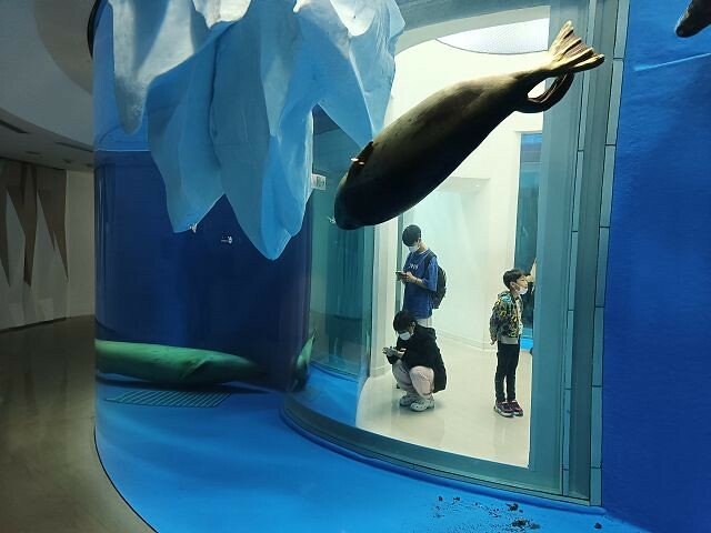 桃園市中壢區Xpark水族館 | 桃園親子景點推薦．探索奇幻的海底世界．療癒感十足的視覺體驗